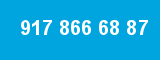 917 866 68 87 917 866 68 87